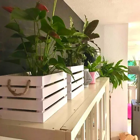 Grosse Fuer 2 Bis 4 Personen Apartment Kiel